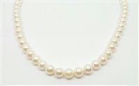 Necklace Bliss Woman Perle Akoya in Pearls Perla 20071611 - 20071611